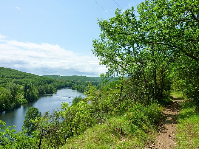 08Vers - Point de vue sur la vallée du Lot © Lot Tourisme - C. Sanchez
