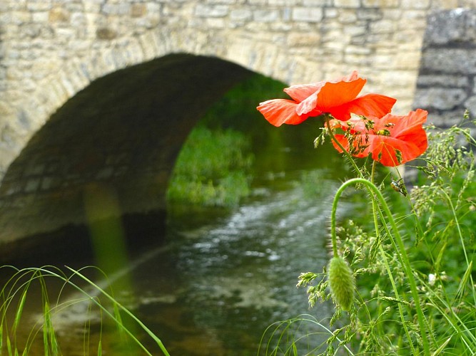 Concorès - Pont de Pierre 