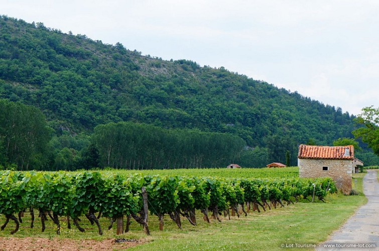 © Lot Tourisme J. Van Severen 140626-151550_800x530