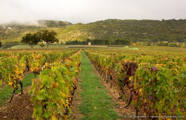 © Lot Tourisme C. Novello 151008-114148_800x516