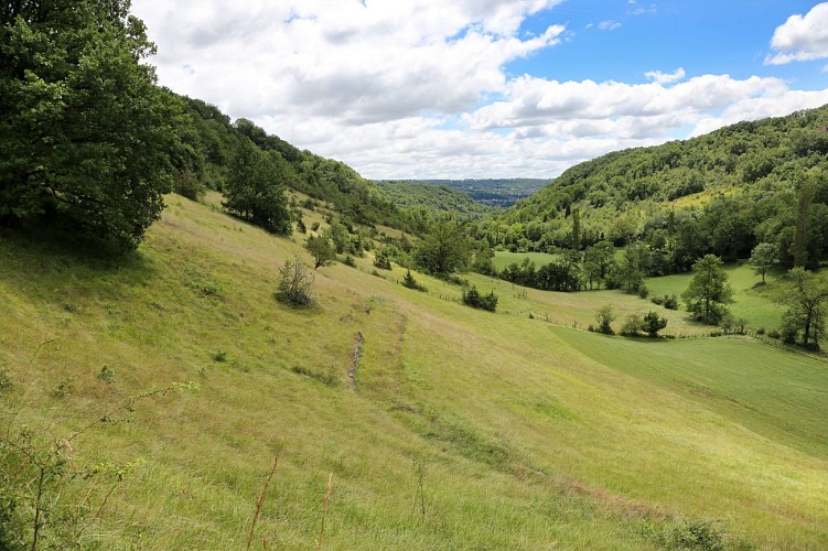 LUNAN®_Jerome_Morel