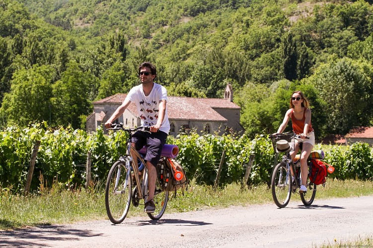 A vélo dans les Vignes sur la Véloroute