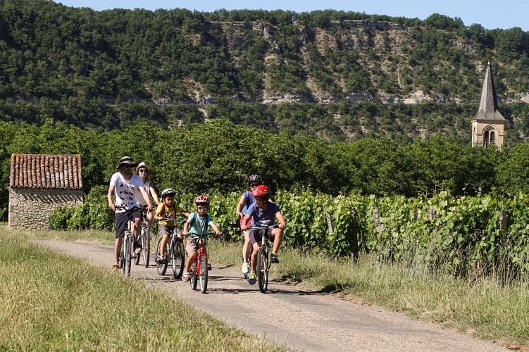 A vélo dans les vignes - Véloroute Vallée du Lot