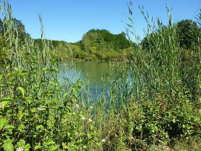 Sentier des argiles - Cambes