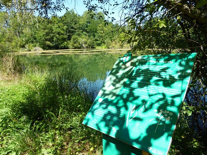 Sentier des argiles - Cambes