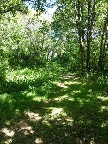 Sentier des argiles - Cambes