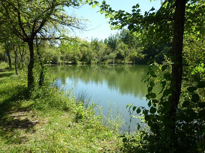 Sentier des argiles - Cambes