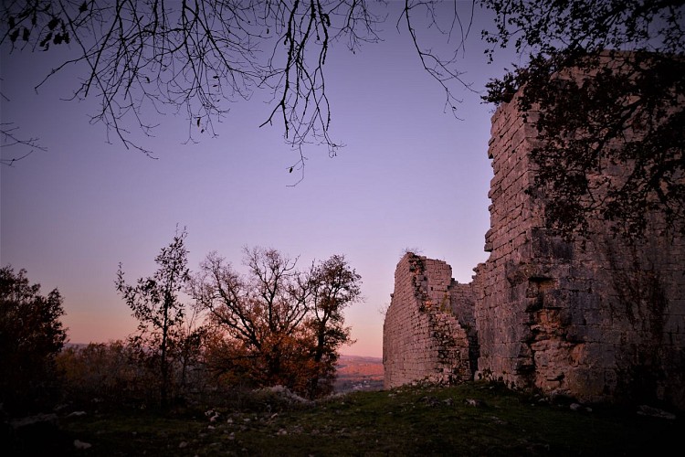 Ruines de Taillefer