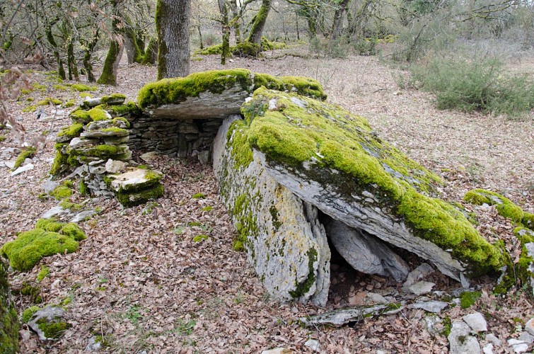 Dolmen-de-Pech-d-Agaïo