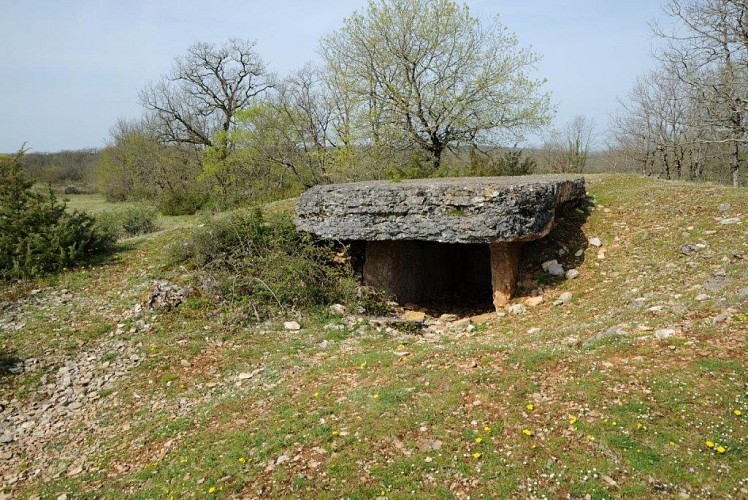 Pierre-Levee--Barrieres-3