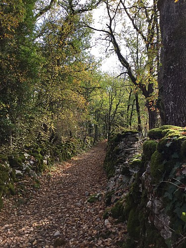 Circuit Les dolmens de Miers - chemins - OTVD Gloria Lafarge