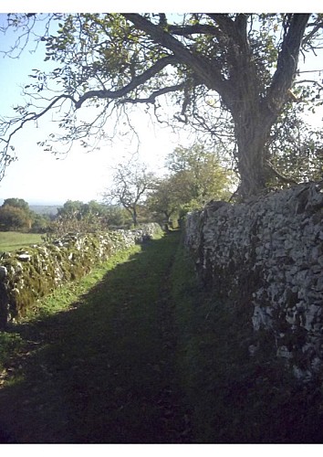 Circuit un paysage façonné par la brebis - espédaillac