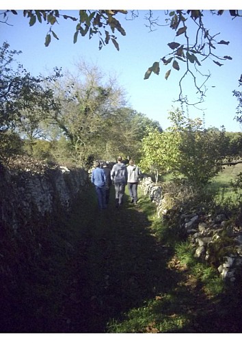 Circuit un paysage façonné par la brebis - espédaillac