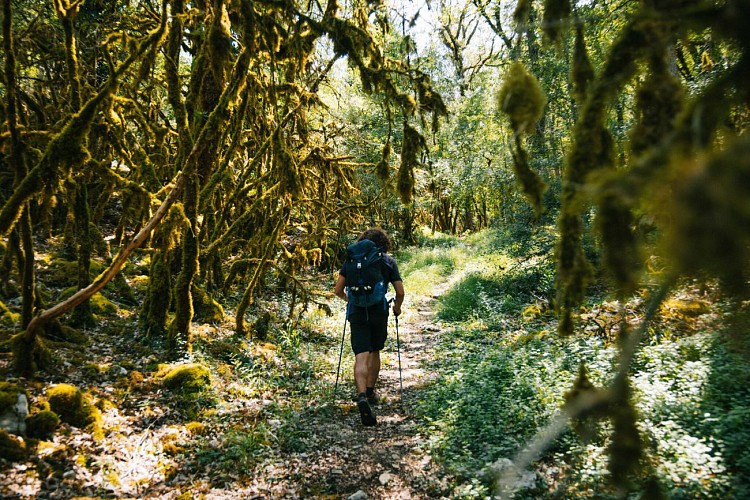 Sur la via Causs'Mos vers Sauliac sur Célé