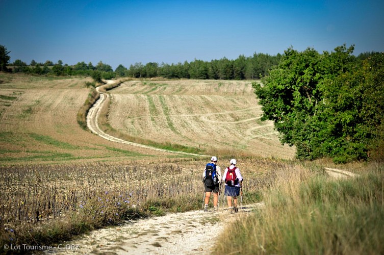 Sur le chemin de St Jacques en Quercy Blanc