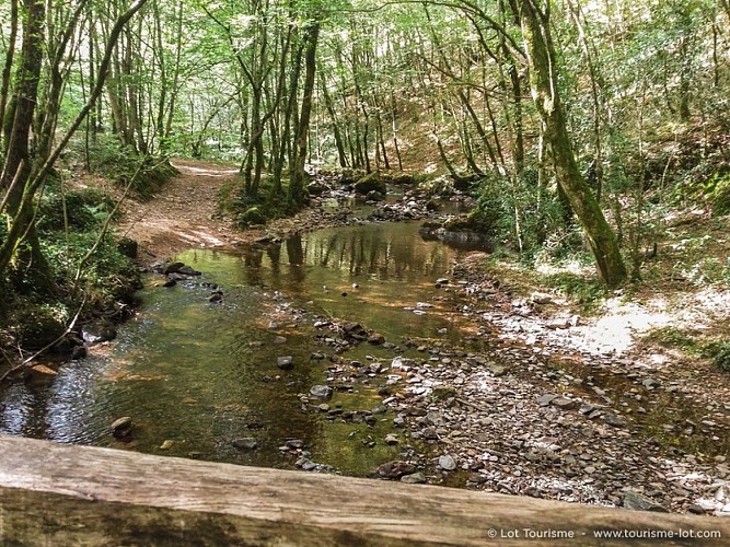 La bave - Circuit de la Vallée Heureuse