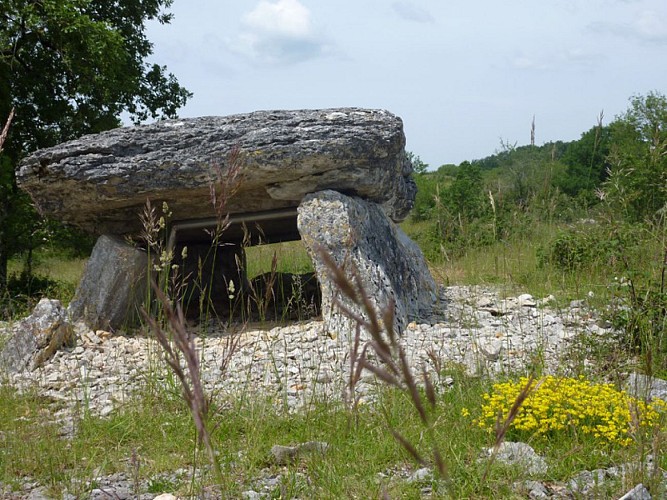 Dolmen du Pech Laglaire 