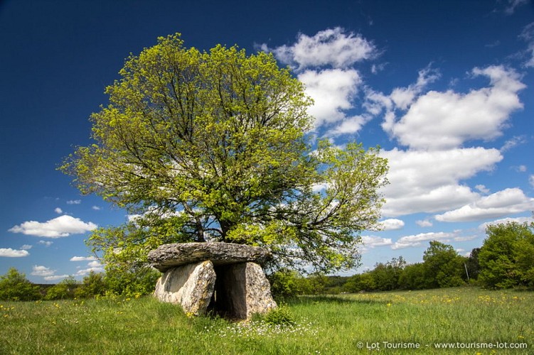 Dolmen à Varaire