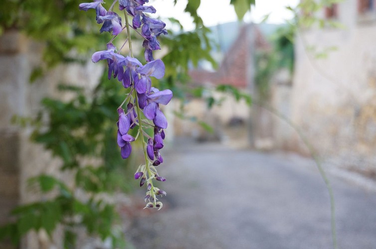 Parcours Sonore du Vigan en Quercy