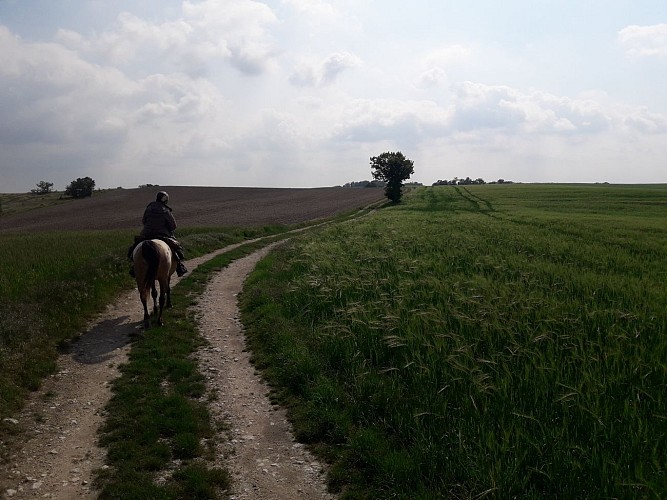 Chemin du Quercy Blanc