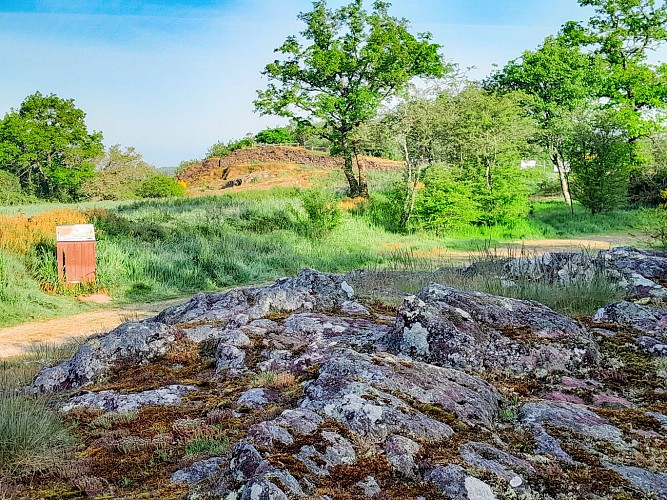 Domaine de Boutavent Iffendic (c) Office de tourisme Montfort Communauté