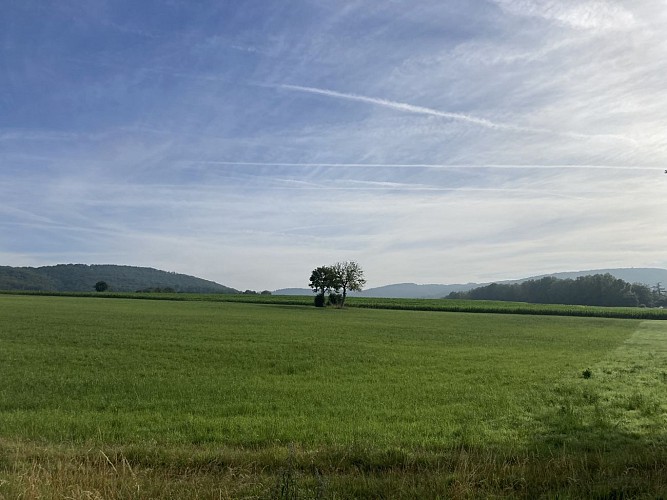 13. Promenade de la Tassenière (3)