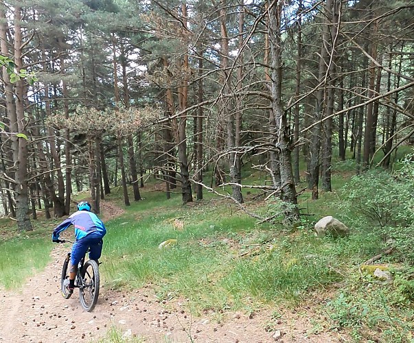 VTT enduro Coume Sol