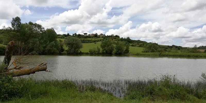 Vue sur le village de Saint-Julien de Briola depuis l'étang