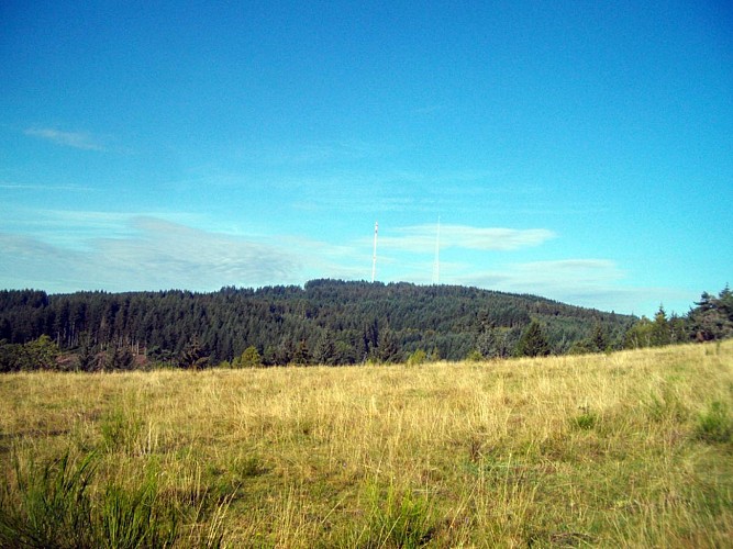 Métamorphoses paysagères