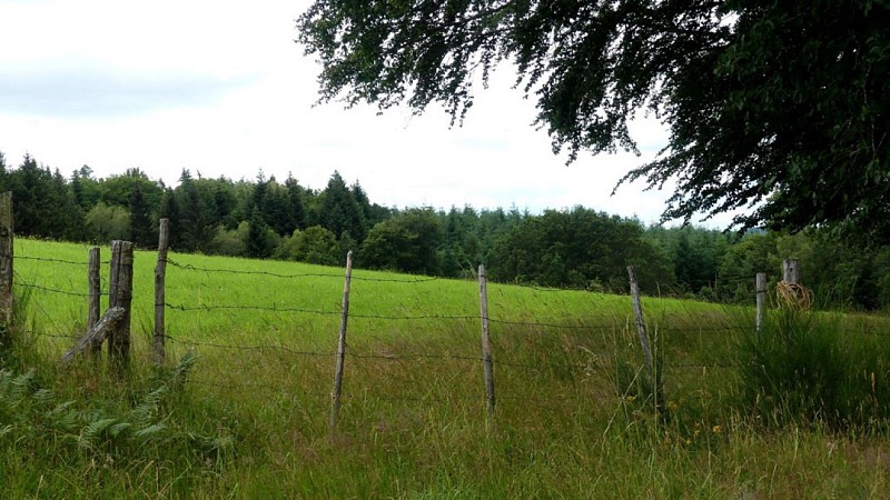 Mystèrieuses fontaines