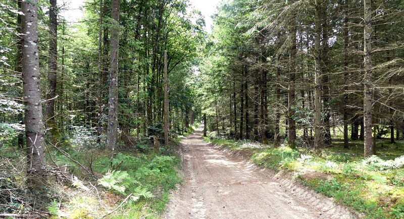 Mystèrieuses fontaines