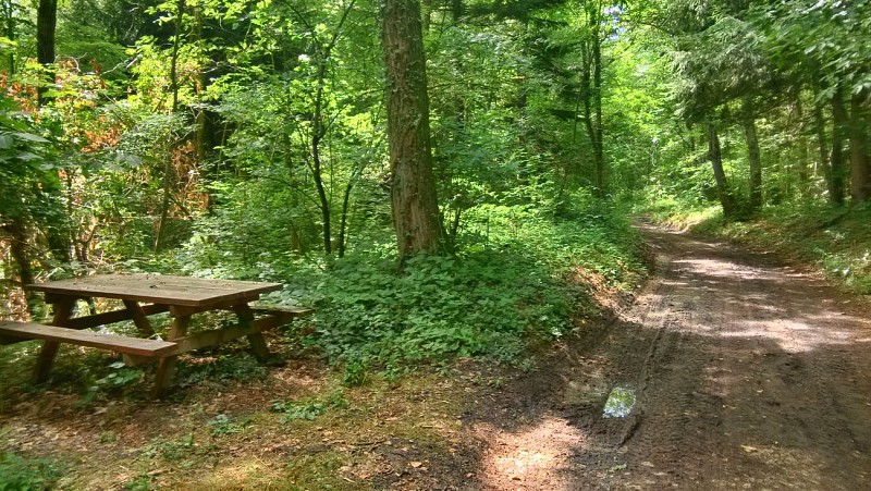 Hike to the Heights of Albens