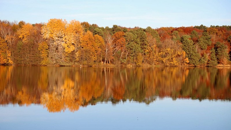 Coiroux-Automne-----Michele-Baldassini-