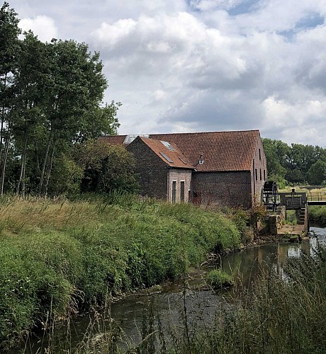 Demerbroeken dans la vallée du Démer - Val et Oli