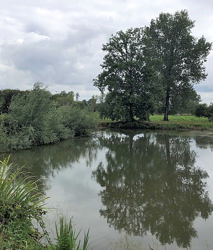 Demerbroeken dans la vallée du Démer - Val et Oli