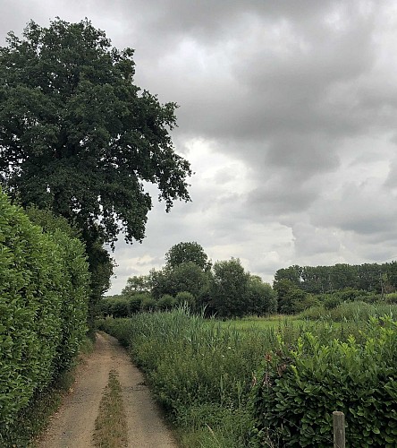 Demerbroeken dans la vallée du Démer - Val et Oli