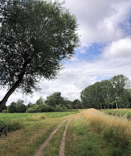 Demerbroeken dans la vallée du Démer - Val et Oli