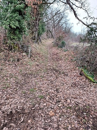 Randonnée Capelloune : 'Sur les traces de Neandertal'