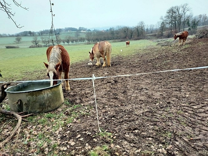 Randonnée Capelloune : 'Sur les traces de Neandertal'