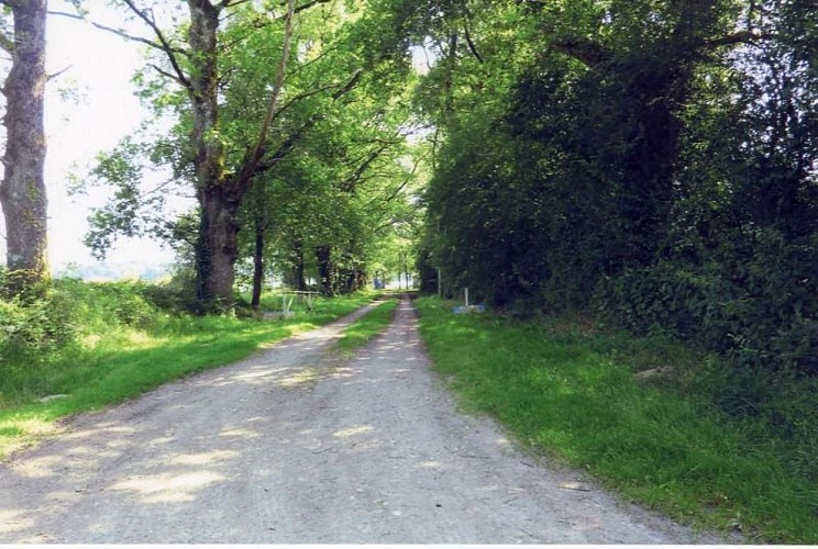 Randonnée des vieux chênes