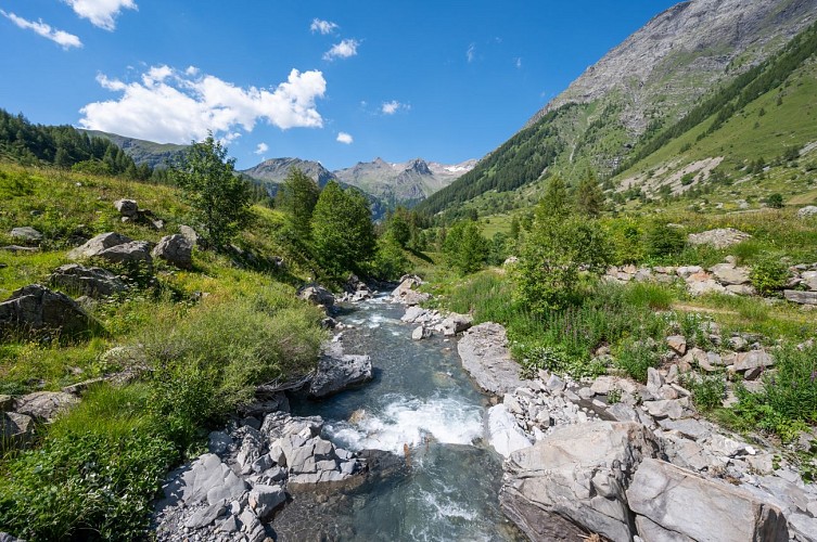 Parcours Trail "Tour de Basset"