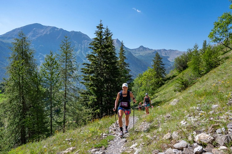 Parcours trail "Forest des Marches"