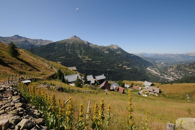 Parcours Trail "Forest des Marches"