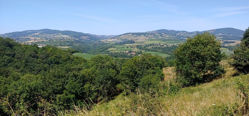 Sain-Bel - Le crêt de Fouillet