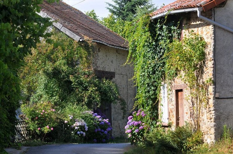 Sentier aux sources de la Gorre