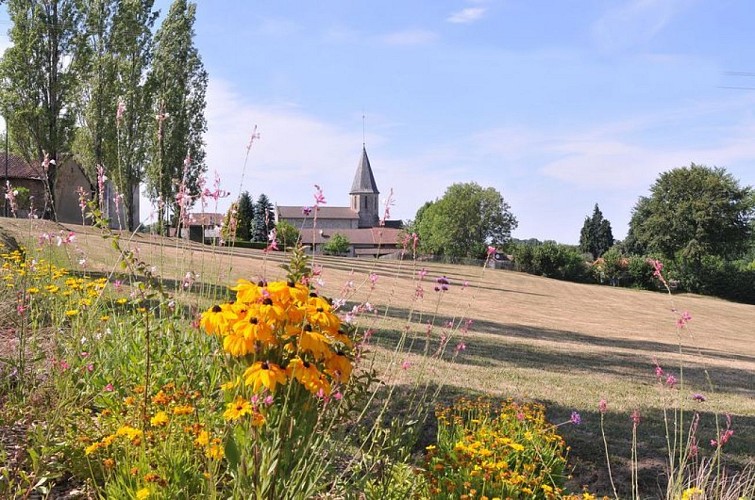 Chemin du Mas Nadaud_2