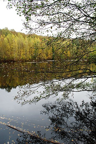 Barrage du Ry de Rome