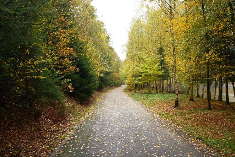 Barrage du Ry de Rome