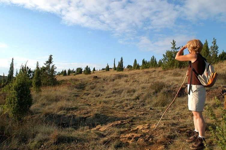 Sentier des bergers et tuiliers