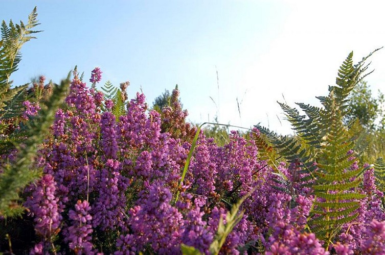 Sentier des bergers et tuiliers